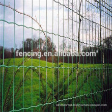 Anping Easy install High quality galvanized /PVC coating Park Euro fence